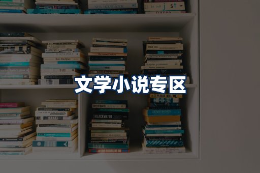 文学小说PDF展示